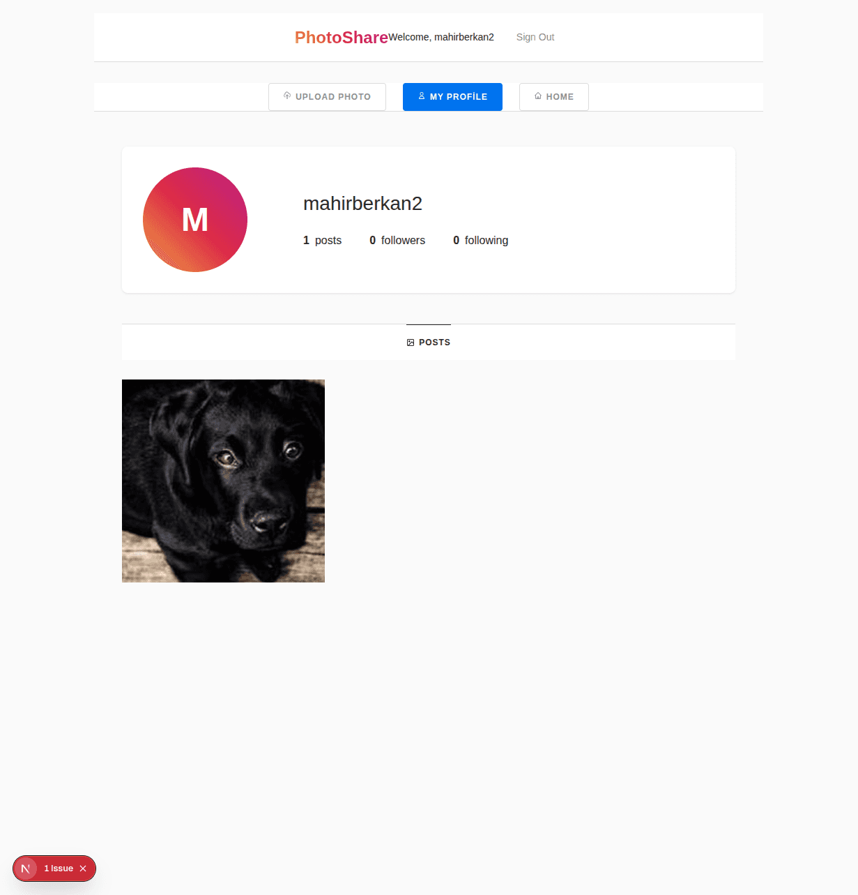 Building a Photo Archive App with Next.js and AWS Amplify